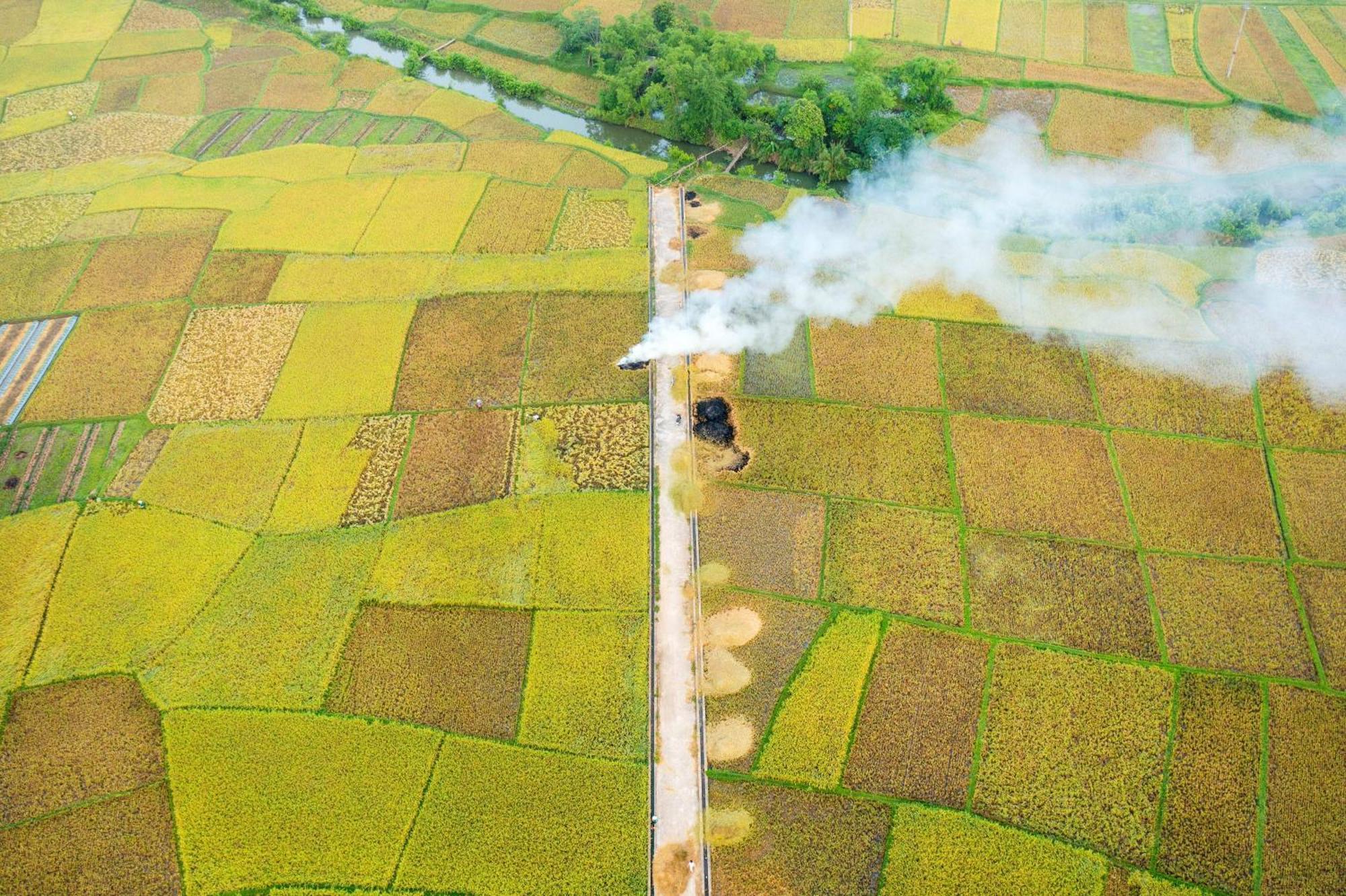 Mai Chau